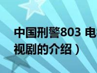 中国刑警803 电视剧（关于中国刑警803 电视剧的介绍）