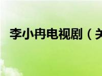 李小冉电视剧（关于李小冉电视剧的介绍）