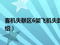 客机失联区6架飞机失踪（关于客机失联区6架飞机失踪的介绍）