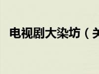 电视剧大染坊（关于电视剧大染坊的介绍）