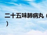 二十五味肺病丸（关于二十五味肺病丸的介绍）