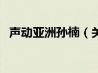 声动亚洲孙楠（关于声动亚洲孙楠的介绍）