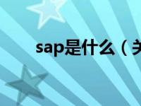 sap是什么（关于sap是什么的介绍）