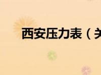 西安压力表（关于西安压力表的介绍）