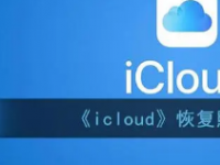 对于照片来说替代iCloud的可选项并不少