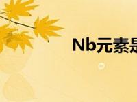 Nb元素是什么（nb元素）