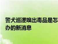 警犬巡逻嗅出毒品是怎么回事，关于警犬巡逻嗅出毒品怎么办的新消息