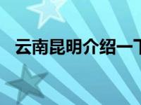 云南昆明介绍一下100字（云南昆明介绍）