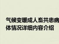 气候变暖成人畜共患病传播主因 重点应保护3岁以下儿童具体情况详细内容介绍