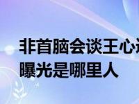 非首脑会谈王心遴黑中国下车 个人资料简介曝光是哪里人