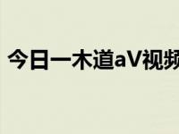 今日一木道aV视频（一木道在线无码v视频）