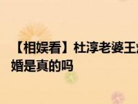 【相娱看】杜淳老婆王灿个人资料简介 王灿家庭背景遭扒二婚是真的吗