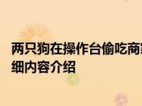 两只狗在操作台偷吃商家当没看见 看着太恶心了具体情况详细内容介绍