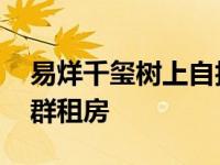 易烊千玺树上自拍 真实家庭背景曝光否认住群租房