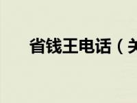 省钱王电话（关于省钱王电话的介绍）