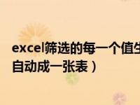 excel筛选的每一个值生成一个表格（excel筛选出来的数据自动成一张表）