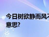 今日树欲静而风不止,子欲孝而亲不在.是什么意思?