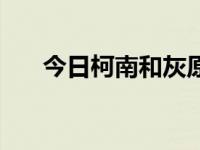 今日柯南和灰原（柯南和灰原哀暧昧）