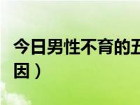 今日男性不育的五种症状（男性不育的五大原因）