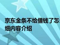 京东金条不给借钱了怎么回事 这几方面都有影响具体情况详细内容介绍