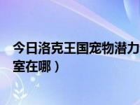 今日洛克王国宠物潜力训练室在哪（洛克王国宠物潜力训练室在哪）