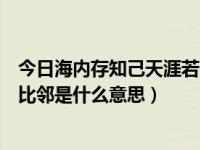 今日海内存知己天涯若比邻是啥意思（海内存知己，天涯若比邻是什么意思）