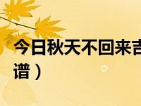 今日秋天不回来吉他谱扫弦（秋天不回来吉他谱）