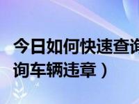 今日如何快速查询车辆排放标准（如何快速查询车辆违章）