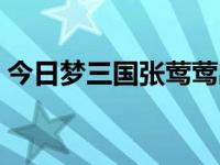 今日梦三国张莺莺出装（梦三国张莺莺出装）