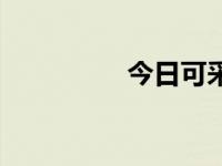 今日可采旗舰店（可采）