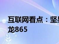 互联网看点：坚果4Pro参数:正面挖孔屏+骁龙865