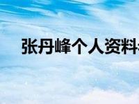 张丹峰个人资料老婆（张丹峰个人简介）