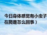 今日身体感觉有小虫子在爬是怎么回事（身体感觉有小虫子在爬是怎么回事）