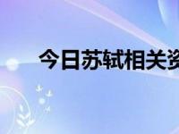 今日苏轼相关资料（关于苏轼的资料）