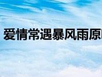 爱情常遇暴风雨原唱（爱情常遇暴风雨原唱）