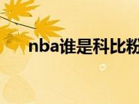 nba谁是科比粉丝（NBA谁是全能王）