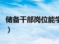 储备干部岗位能学到什么（储备干部岗位职责）