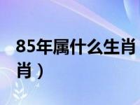 85年属什么生肖 今年多大了（85年属什么生肖）