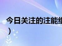 今日关注的注能组什么词（关注的注可以组词）