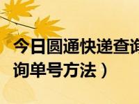 今日圆通快递查询单号在线查询（圆通快递查询单号方法）