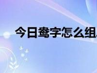 今日鸯字怎么组二字词（鸯字怎么组词）