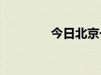 今日北京一对彩鸟多少钱？