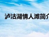 泸沽湖情人滩简介（妖孽总裁的情人简介）