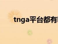 tnga平台都有哪些车型（Tnga简介）