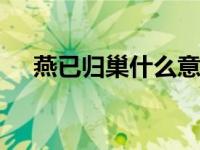 燕已归巢什么意思（[火影]燕还巢简介）