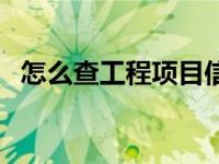 怎么查工程项目信息（工程项目信息简介）