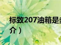 标致207油箱是多少升的（标致207-进口简介）