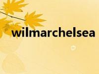 wilmarchelsea（Wilma Fonseca简介）