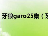 牙狼garo25集（牙狼GARO-动画作品简介）