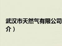 武汉市天然气有限公司人工客服（武汉市天然气有限公司简介）